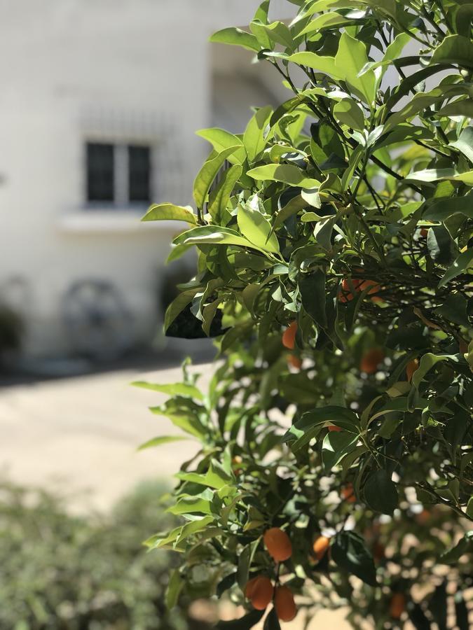 Apartamento Aggelikis House Spáta Exterior foto